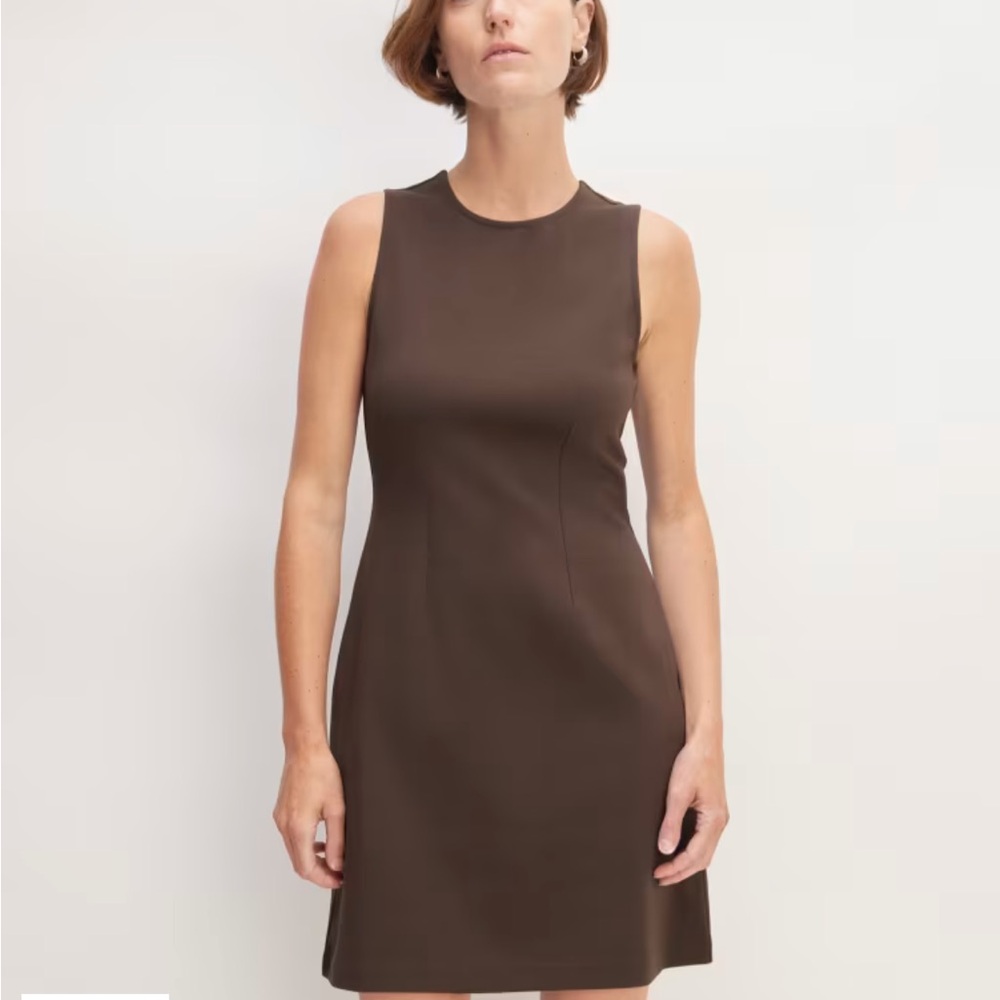 NWOT Everlane Dream Mini Dress Brown